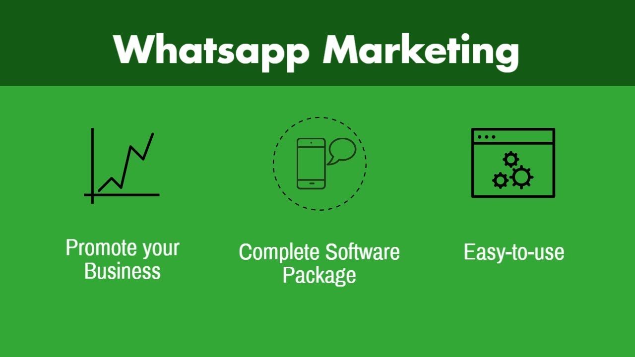 How to promote your business on WhatsApp - Youth Entrepreneurship