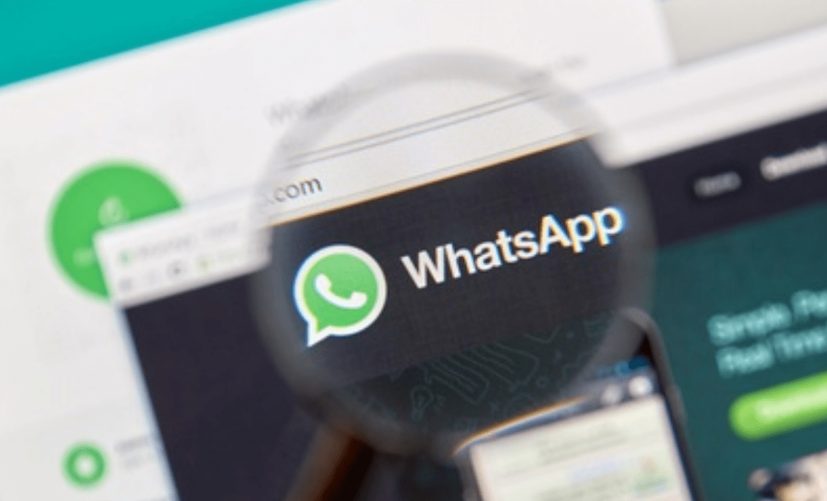 whatsapp-business-secrets-98-open-rates