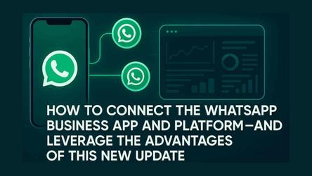 How to Connect the WhatsApp Business App and Platform — and Leverage the Advantages of This New Update | WUSeller